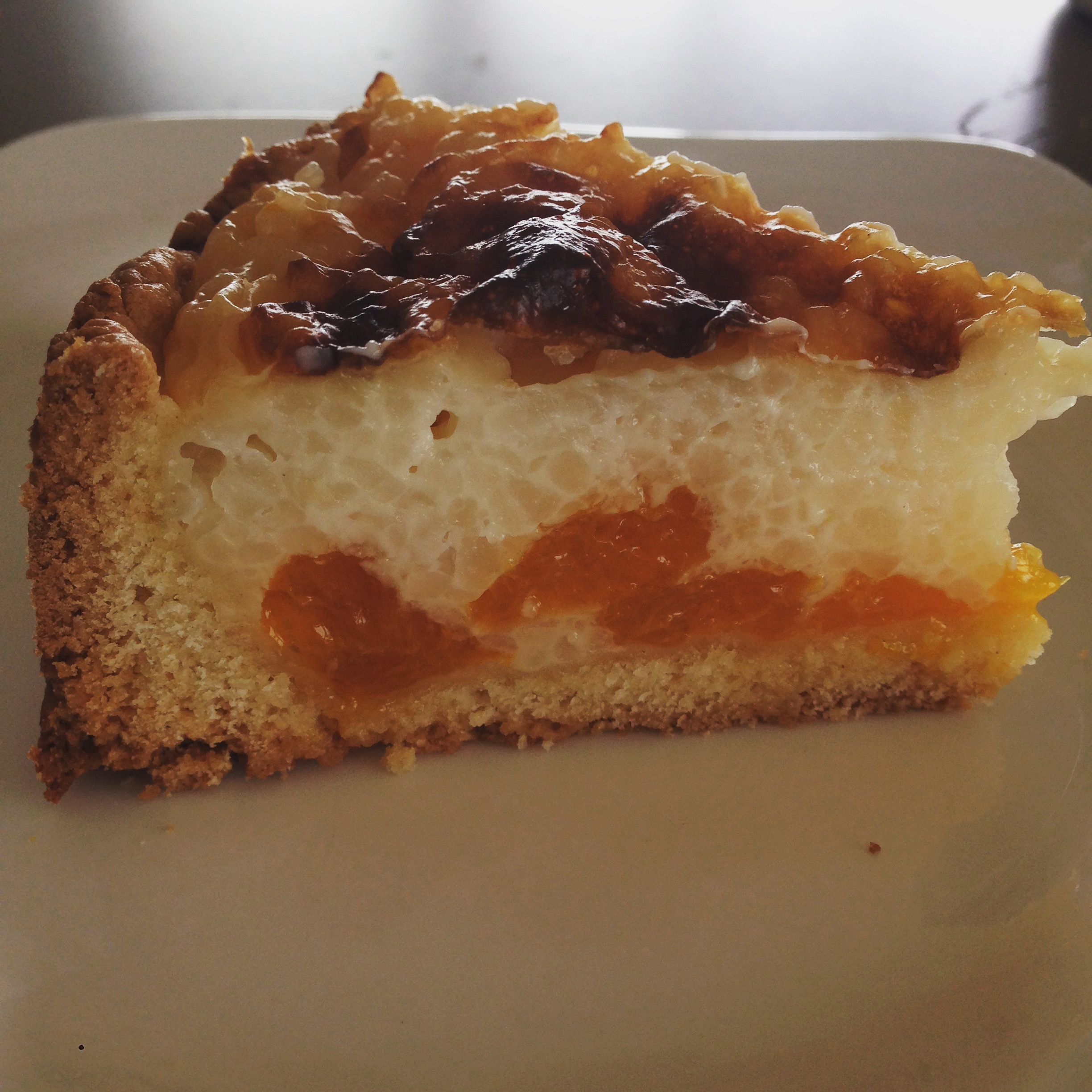 Milchreiskuchen mit Mandarinen - BackGAUDI