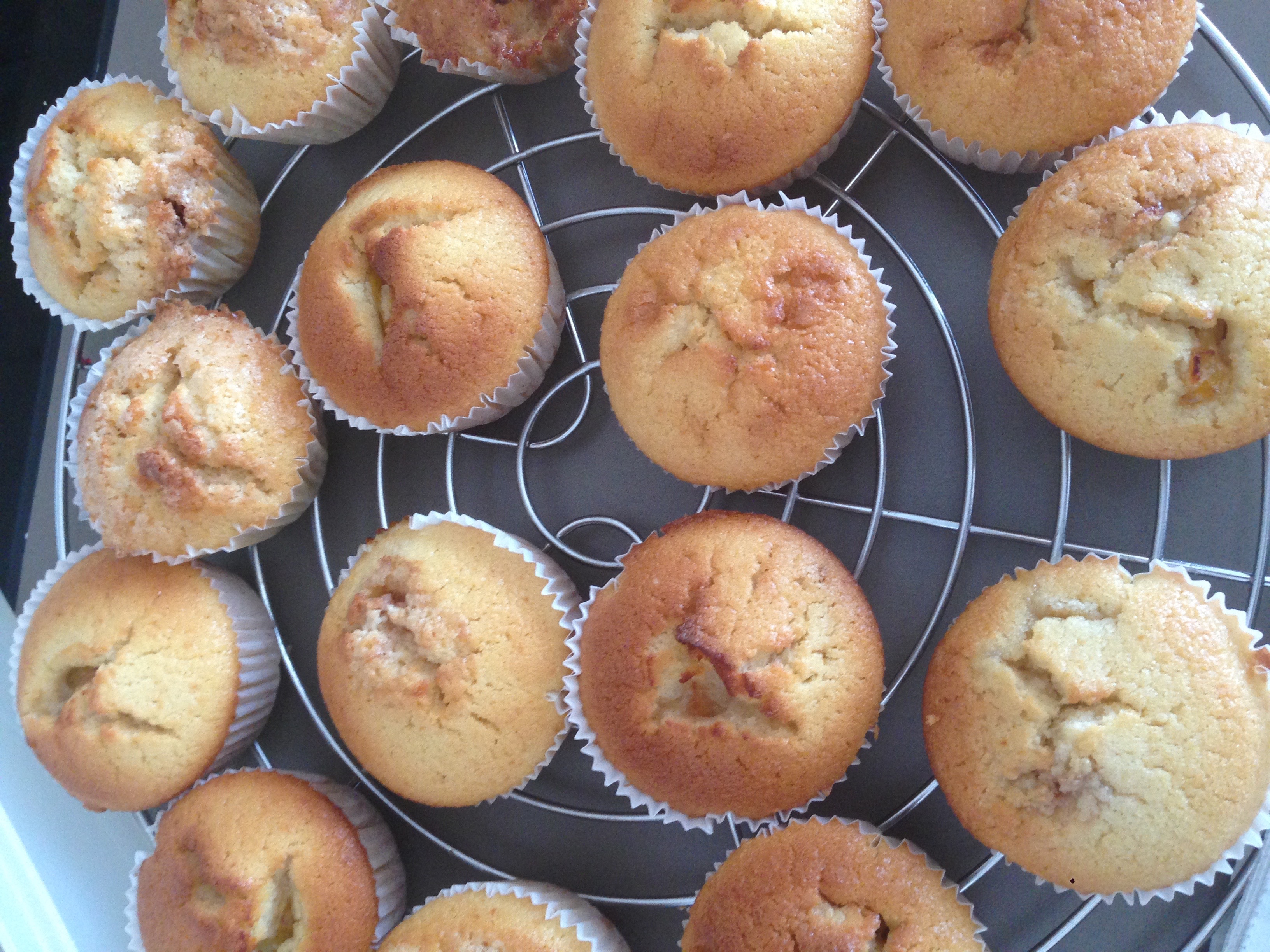Kuh-Muffins - BackGAUDI