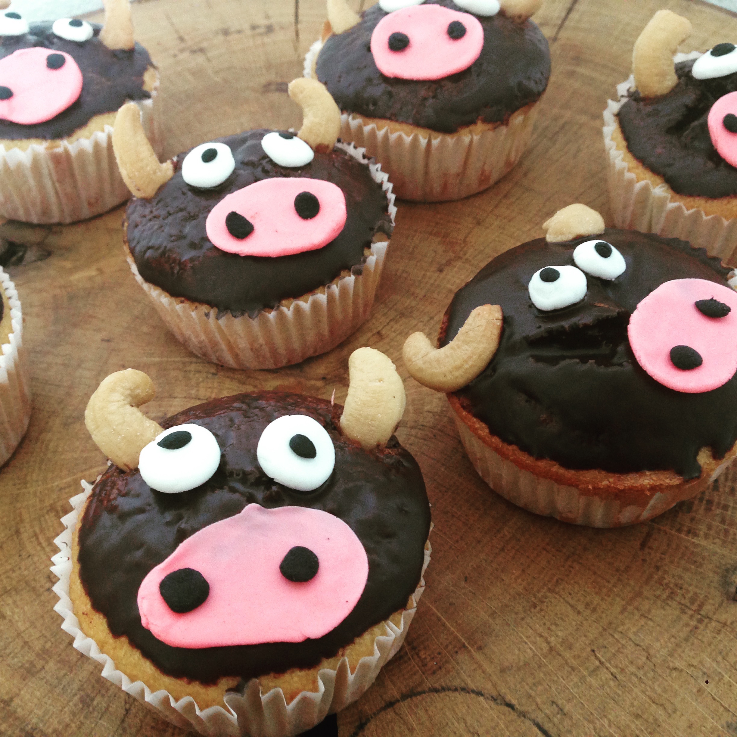Kuh-Muffins - BackGAUDI
